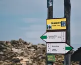 Znak drogowskazów na Śnieżnik, 1426 m n.p.m. Wskazuje drogę do schroniska "Na Śnieżniku" i na Przełęcz Płoszczynę.