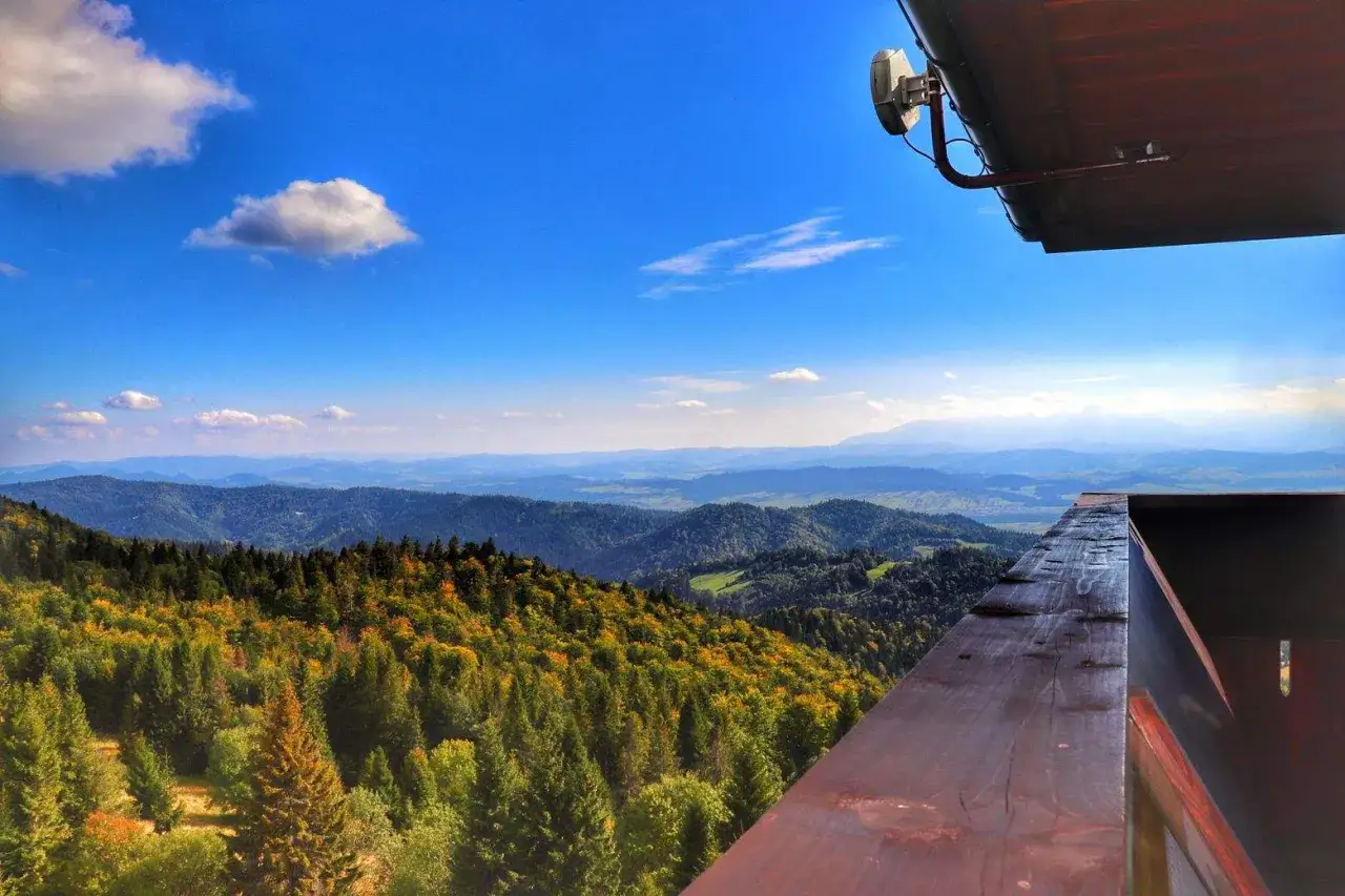 Widok z wieży widokowej na Beskid Sądecki i Gorce. Jesienne kolory lasów i błękitne niebo.